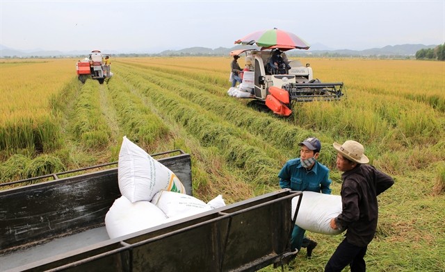 Vietnam rakes in 34 billion USD from agricultural, seafood products - ảnh 1