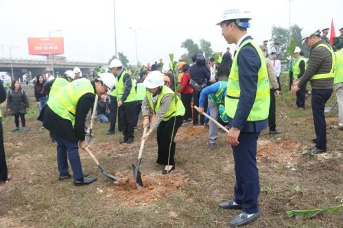 80,000 trees to be planted along national highways in 2020 - ảnh 1