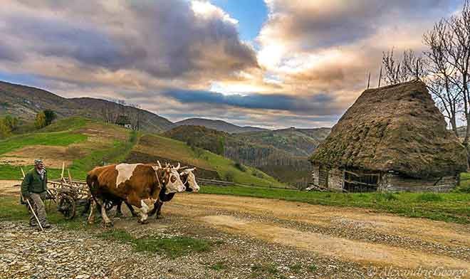 Romania’s Culture and Lifestyle - ảnh 5