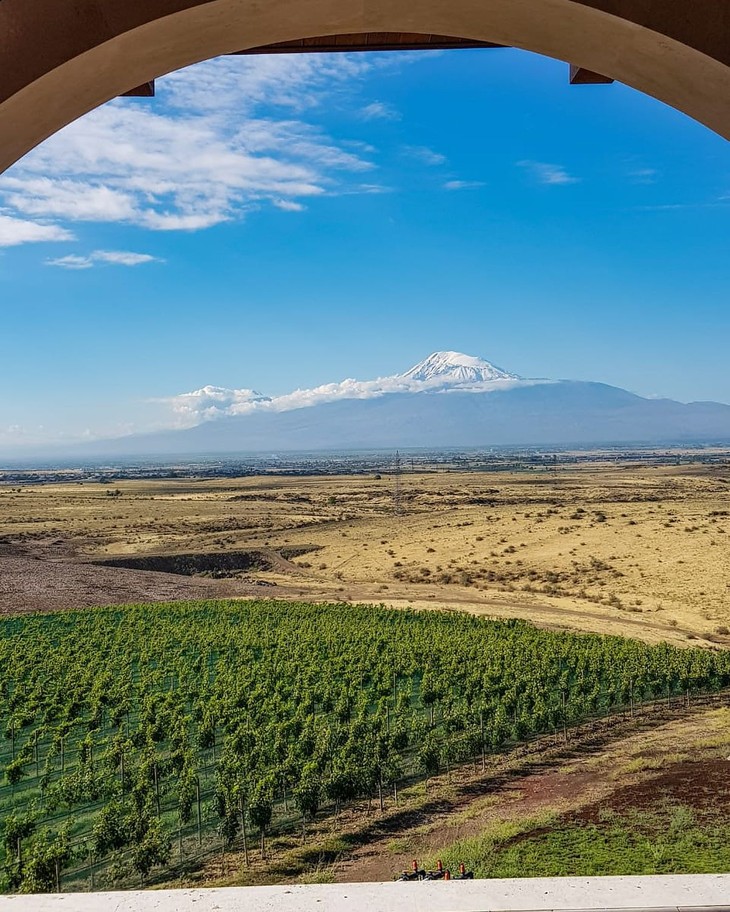 What You Need to Know About Armenian Wine - ảnh 1