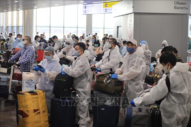 Vietnamese citizens flown home from Russia  - ảnh 1