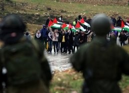 ONU pide fin de ocupación israelí en territorios palestinos  - ảnh 1