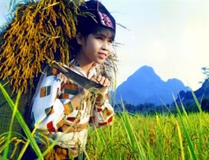 Avances de Vietnam en lucha contra hambre y pobreza en 2011 - ảnh 1