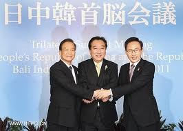 China publica Libro Blanco sobre cooperación tripartita China-Japón-Surcorea - ảnh 1