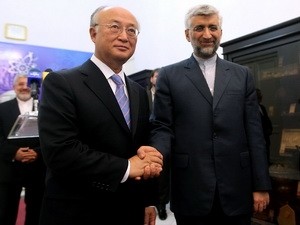 Director general de la AIEA se reúne con autoridades de Irán - ảnh 1