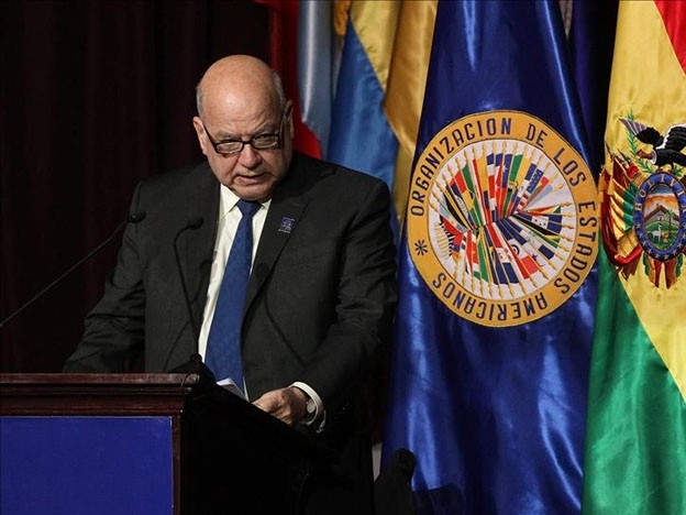 OEA establece una misión para investigar destitución de Fernando Lugo - ảnh 1