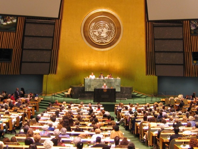 Sesiona Asamblea General de la ONU sobre la crisis siria - ảnh 1