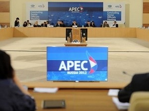 Se abre Conferencia de Ministros de Relaciones exteriores y Comercio de APEC - ảnh 1