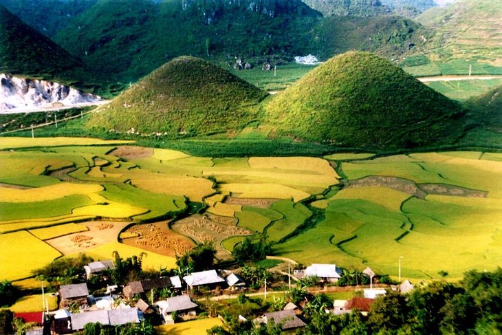 Impresionante recorrido por el Noreste de Vietnam  - ảnh 2