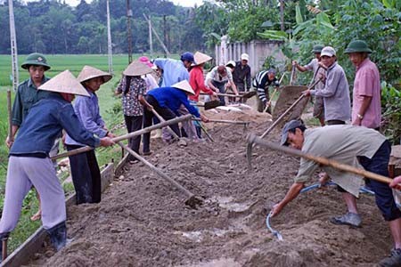 Fuerza motriz de desarrollo campestre vietnamita  - ảnh 1