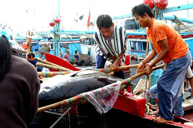 Pescadores vietnamitas reinician actividades laborales  - ảnh 1