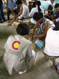 Cooperación Vietnam- España: De cara al desarrollo sostenible - ảnh 2