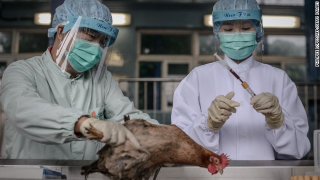 Expertos chinos consideran posible llegada de virus H7N9 por aves migratorias - ảnh 1