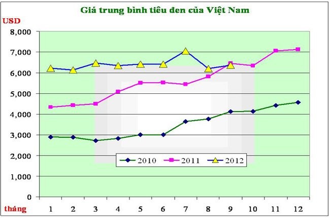 Pimienta vietnamita: construcción de marca nacional hacia el desarrollo sostenible - ảnh 1