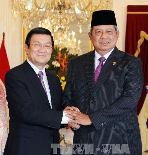El Presidente del Estado, Truong Tan Sang, continúa su visita a Indonesia  - ảnh 1