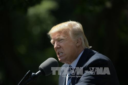 Donald Trump anuncia apoyar el “cierre” del Gobierno federal  - ảnh 1