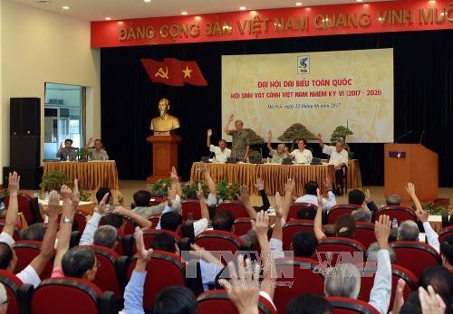 Vietnam busca desarrollar el sector de variedades ornamentales - ảnh 1