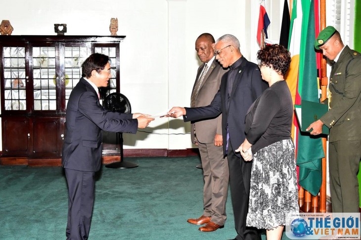 Guyana busca oportunidades de cooperación con Vietnam  - ảnh 1