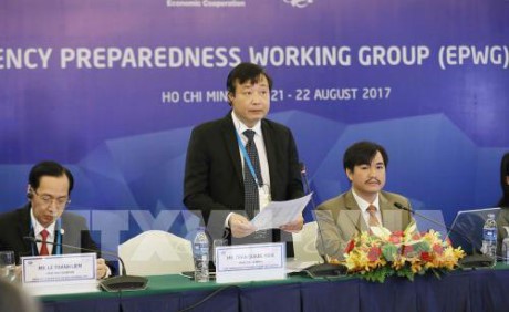 APEC 2017: Establecen un Mecanismo Común de Emergencia en Casos de Desastre en la Región - ảnh 1