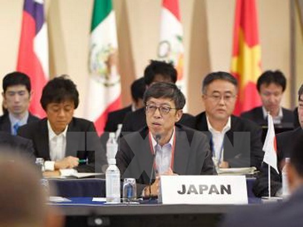 Países negociadores del TPP en busca de un nuevo acuerdo - ảnh 1