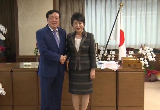Vietnam y Japón intensifican la cooperación judicial  - ảnh 1