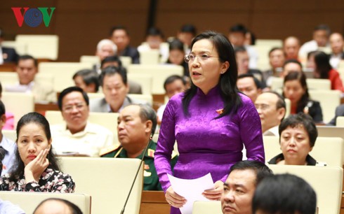 Parlamento de Vietnam analiza la implementación del objetivo nacional sobre la igualdad de género  - ảnh 1