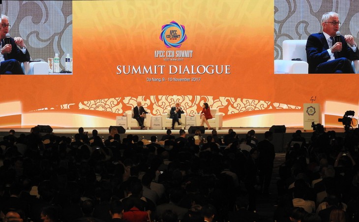 Concluye la Cumbre Empresarial del APEC 2017 - ảnh 1