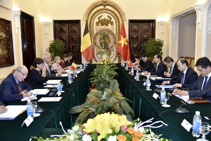 Vietnam y Bélgica realizan consultas políticas entre sus Cancillerías  - ảnh 1