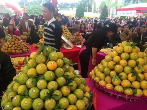 El cultivo de naranjos brinda mayores ingresos a los cultivadores de Cao Phong  - ảnh 1