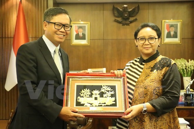 Vietnam e Indonesia continúan haciendo contribuciones positivas a la Asean  - ảnh 1