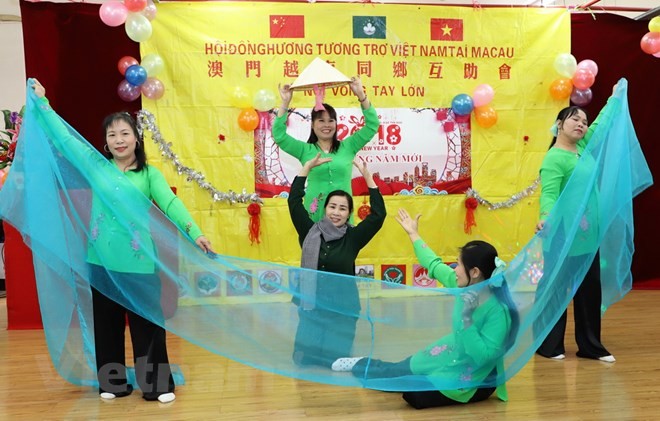 Comunidad vietnamita en ultramar festeja el Tet - ảnh 1