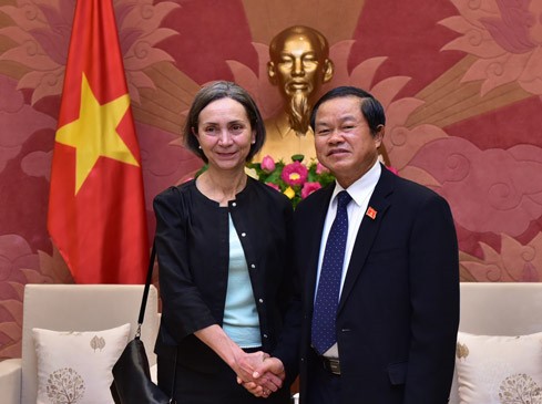 Vicepresidente del Parlamento vietnamita recibe a la embajadora mexicana - ảnh 1
