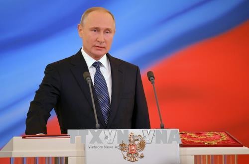 Vladimir Putin ratifica el nuevo Gobierno ruso - ảnh 1