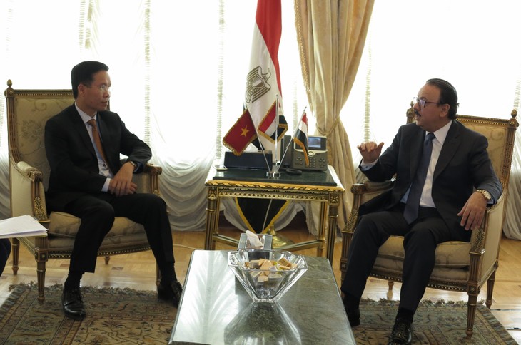 Vietnam y Egipto afianzan su cooperación multifacética  - ảnh 1