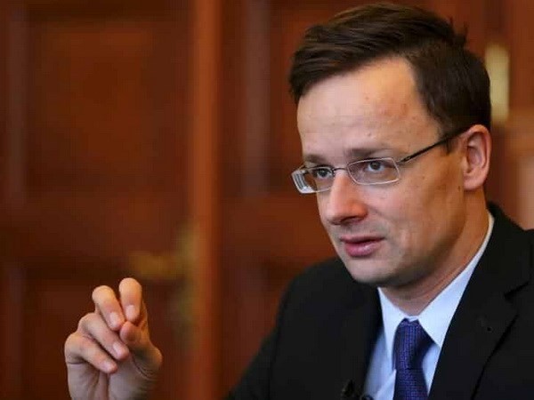Hungría anuncia su retiro del tratado mundial sobre migración - ảnh 1