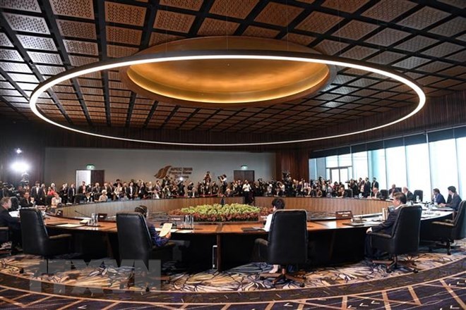 Papúa Nueva Guinea emite Declaración del Presidente de APEC - ảnh 1