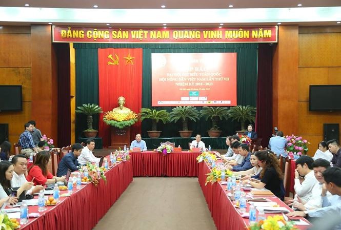 Alistan VII Congreso Nacional de la Asociación de Agricultores vietnamitas  - ảnh 1