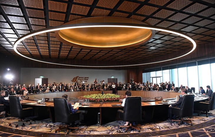 APEC 2019 es una oportunidad para mostrar compromiso multilateral - ảnh 1