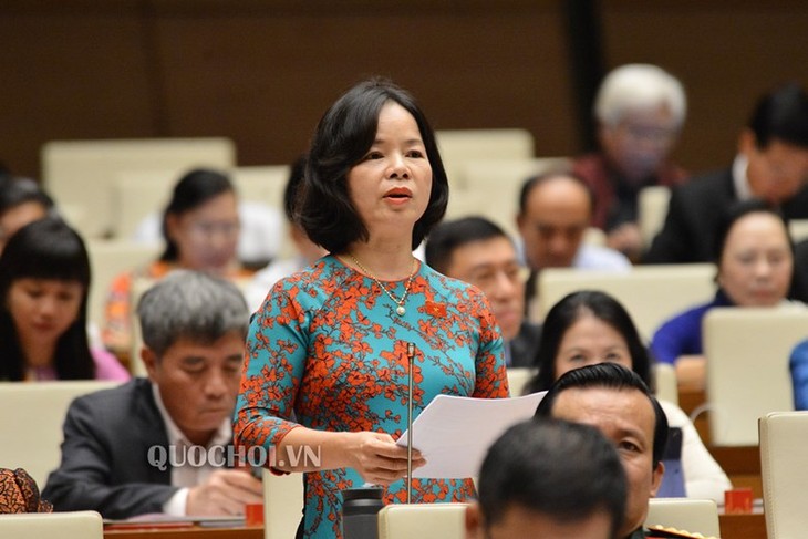 Parlamento de Vietnam aborda el proyecto de desarrollo de minorías étnicas y zonas montañosas - ảnh 1