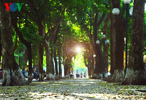 Hanói entre las 50 ciudades más hermosas del mundo - ảnh 1