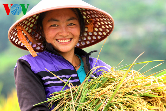Vietnam por integrar la igualdad de género en objetivos de desarrollo de minorías étnicas - ảnh 1