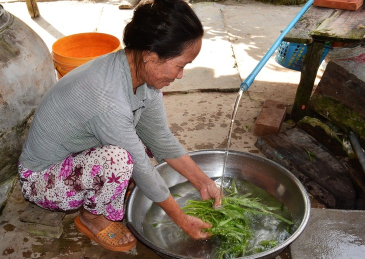La sequía devasta la región meridional de Vietnam - ảnh 9