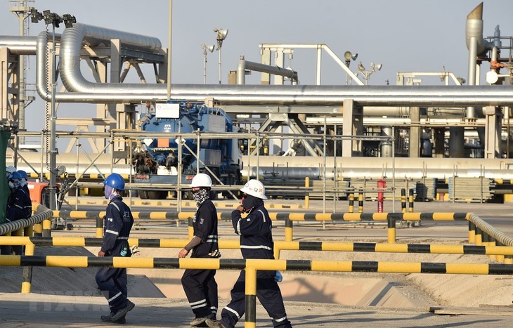 Arabia Saudita pide garantizar suministro de energía en apoyo a la recuperación económica mundial - ảnh 1
