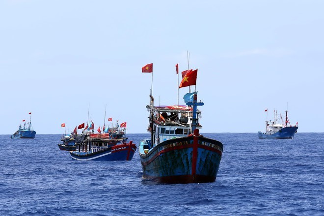 Asociación vietnamita de Pesca rechaza estatuto de prohibición de pesca en Mar del Este - ảnh 1