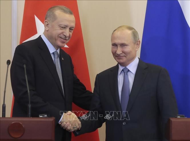 Presidentes de Rusia y Turquía debaten conflictos en Libia y Siria - ảnh 1