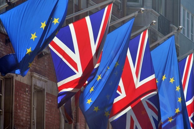 Existen desacuerdos en las negociaciones comerciales entre la UE y el Reino Unido - ảnh 1