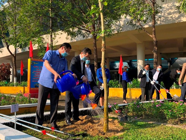 Hanói y Da Nang lanzan campaña de plantación de árboles - ảnh 1
