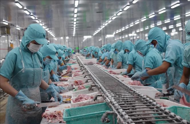 Exportaciones acuícolas de Vietnam esperan una fuerte recuperación - ảnh 1