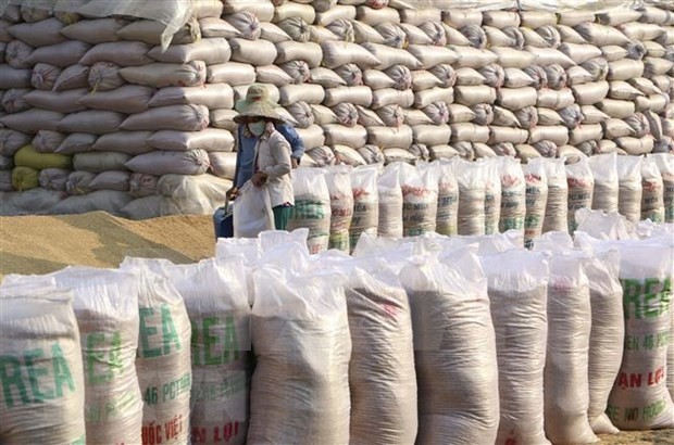 Vietnam mantendría el segundo puesto como exportador mundial de arroz - ảnh 1