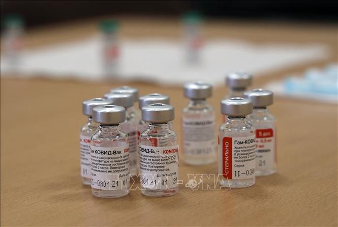 Vacuna Sputnik V es eficaz contra variantes de covid-19 en Argentina - ảnh 1
